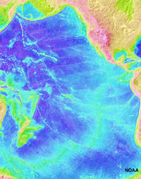 Abyssal plains dominate the Pacific Ocean basin.