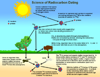 Radiocarbon Dating method