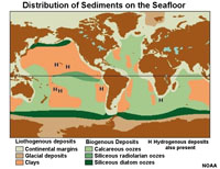 Distribution of ocean sediment by type