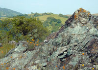 Serpentinite outcrop near San Jose, CA