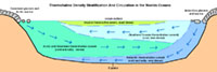 Thermohaline density stratification in the Atlantic Ocean basin