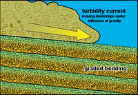 Turbidity currents and graded bedding
