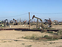 Pumping jacks in the Lost Hills Oil Field near Bakersfield, California.